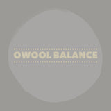 O-Wool Balance Worsted