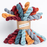 Blue Sky Fibers Woolstok Mini Bundle