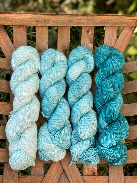 Fantasy Fibre Arts Full Skein Fairy Sock Gradient Set