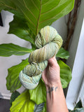 Malabrigo Rios