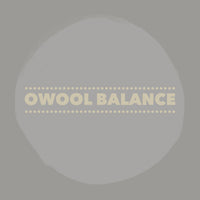 O-Wool Balance Worsted