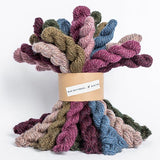 Blue Sky Fibers Woolstok Mini Bundle