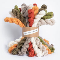 Blue Sky Fibers Woolstok Mini Bundle