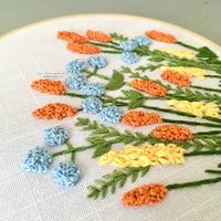 Hand Embroidery Kit