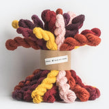 Blue Sky Fibers Woolstok Mini Bundle